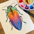 Jewel Beetle Watercolour (w/process) Ein Projekt aus dem Bereich Traditionelle Illustration, Bildende Künste, Malerei, Aquarellmalerei und Naturalistische Illustration von Lyndsay Stephenson - 01.07.2023