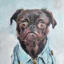 Mi proyecto del curso: Retrato realista de mascotas con pintura al óleo. Un progetto di Belle arti, Pittura, Pittura ad olio e Illustrazione naturalistica di John Joven - 20.07.2023