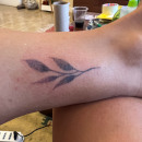 Mi proyecto del curso: Tatuaje botánico con puntillismo. Traditional illustration, Tattoo Design, and Botanical Illustration project by Maria de los Angeles Centeno - 07.23.2023