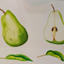 Expermental Botanical Illustration watercolor. Pintura, Pintura em aquarela, Ilustração botânica e Ilustração naturalista projeto de Nabeel Abdul Hameed - 19.08.2023