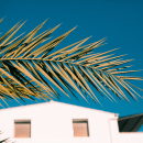 Mediterraneo life. Photograph project by vpsqpw2xgb - 08.21.2023