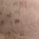 Mi proyecto del curso: Dibujo anatómico para principiantes. Fine Arts, Sketching, Pencil Drawing, Drawing, Realistic Drawing, and Figure Drawing project by Ariel Chuquimia Acho - 09.01.2023