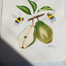 My project for course: Realistic Botanical Illustration: Escape to Nature. Un proyecto de Pintura, Pintura a la acuarela, Ilustración botánica e Ilustración naturalista				 de marigeno22 - 13.09.2023