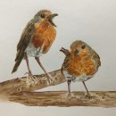 My project for course: Artistic Watercolor Techniques for Illustrating Birds. Pintura em aquarela projeto de Sally Parrott - 20.09.2023