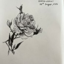 A sketchbook of flowers drawn in pen. Projekt z dziedziny  R i sunek użytkownika inatsetsova - 25.09.2023