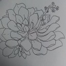 Eerste proef: botanic sketching - a meditative approach . Sketching project by Leontien - 10.22.2023