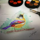 Meu projeto do curso: Técnicas expressivas de aquarela para ilustração de pássaros. Ilustração tradicional, Pintura em aquarela, Desenho realista e Ilustração naturalista projeto de Laura Andrade de Oliveira - 30.10.2023