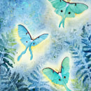 Luminous moths. Traditional illustration, and Watercolor Painting project by Stefanie Wagner - 10.19.2023