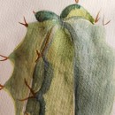 Cactus . Un projet de Beaux Arts , et Aquarelle de Chrees Jubilee - 23.11.2023