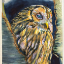 My project for course: Expressive Animal Portraits in Watercolor. Traditional illustration, Watercolor Painting, Realistic Drawing, and Naturalistic Illustration project by Lisa Bennett - 11.23.2023