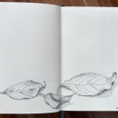 My project for course: Illustrated Diary: Fill Your Sketchbook with Experiences. Ilustração tradicional, Esboçado, Desenho, Sketchbook e Ilustração com tinta projeto de julia9415 - 25.11.2023
