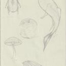 sketchbook. Un proyecto de Ilustración tradicional y Diseño gráfico de Valentina Sandoval - 11.12.2023