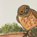 My project for course: Artistic Watercolor Techniques for Illustrating Birds. Un projet de Illustration traditionnelle et Illustration naturaliste de Chrees Jubilee - 15.12.2023