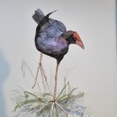Artistic Watercolour Techniques for Illustrating Birds - Sarah Stokes. Un proyecto de Artesanía y Bellas Artes de Wendy Allison - 22.12.2023