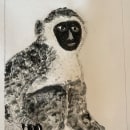 My project for course: Animal Illustration with Charcoal and Ink. Un proyecto de Bellas Artes, Dibujo, Ilustración con tinta e Ilustración naturalista				 de deanne117 - 26.12.2023