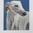 My project for course: Realistic Pet Portraits with Oil Painting. Un proyecto de Bellas Artes, Pintura, Pintura al óleo e Ilustración naturalista				 de Vicky Zhou - 10.02.2024