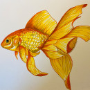 Goldie. Traditional illustration project by Kathrin W. - 02.20.2024