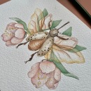 Flores & Insectos. Design, Traditional illustration, Watercolor Painting, Children's Illustration, and Botanical Illustration project by Cecilia Lema - 02.28.2024