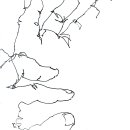 ogni tanto leve_disegno alla cieca di mano. Desenho projeto de Claudio Patanè - 05.03.2024