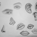 Partes de la cara. Figure Drawing project by lara.albiacc - 03.10.2024