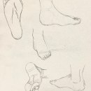 DA Partes de Anatomía Humana. Traditional illustration project by Pau Forte - 03.11.2024
