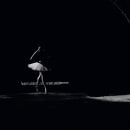 L'art de la Danse. Un proyecto de Fotografía de Marie Christine MARCEL - 08.05.2021