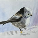 My project for course: Artistic Watercolor Techniques for Illustrating Birds. Un progetto di Illustrazione tradizionale, Pittura ad acquerello, Disegno realistico e Illustrazione naturalistica di ddsantos - 22.03.2024