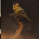 Meu projeto do curso: Pintura a óleo clássica para retratos naturalistas de pássaros. Un projet de Beaux Arts, Peinture, Peinture à l'huile et Illustration naturaliste de Luiza Costa - 29.03.2024