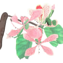 Casco de venado y un amiguito. Un proyecto de Ilustración tradicional, Pintura y Pintura a la acuarela de Monica Palma - 31.03.2024