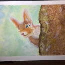 My project for course: Expressive Animal Portraits in Watercolor. Traditional illustration, Watercolor Painting, Realistic Drawing, and Naturalistic Illustration project by Diana Whitworth - 04.04.2024