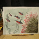 Mi proyecto del curso: Ilustración de universos marinos en acuarela. Pintura em aquarela e Ilustração naturalista projeto de jlozano_torres - 14.04.2024