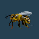 Insectos. Un projet de Illustration traditionnelle, Illustration numérique et Illustration naturaliste de BioPicture Studio - 16.04.2024