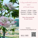A few spaces left : Koshu Dream House Residential Course 2024. Installations, Arts, Crafts, Fine Arts, Painting, Calligraph, and Watercolor Painting project by Koshu (Akemi Lucas) - 05.03.2024