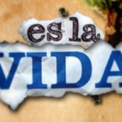 Es la Vida. Design, Traditional illustration, and Motion Graphics project by Federico Figueroa - 04.12.2010