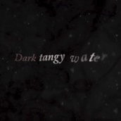 Ink Haiku. Motion Graphics project by lostctrl - 05.21.2010