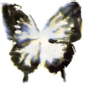 mariposa. Traditional illustration project by Cristina Viñas Marcus - 09.02.2010