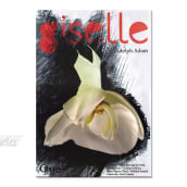 Giselle. Un proyecto de Diseño, Ilustración tradicional y Publicidad de MAGS - 20.12.2010