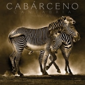 Cabárceno. Design, Traditional illustration, Advertising, and Photograph project by KyKE G.S. - 01.24.2011
