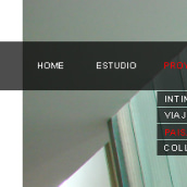 Dinamic Flash Website. Un progetto di Design, Pubblicità, Programmazione, Fotografia e UX / UI di Julien Bonomo - 23.09.2011