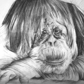 Orangután  . Design e Ilustração tradicional projeto de Jean Merlano - 22.03.2012