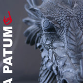 LA PATUM 2012. Design, and Advertising project by Silvia Garcia Palau - 04.22.2012