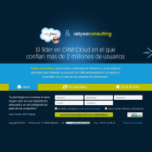 Salesforce & Adysa Consulting. Design, Programming, and UX / UI project by seven - 04.23.2012