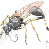Insectos y patrimonio. Traditional illustration project by Jordán Esteso Martínez - 02.19.2013