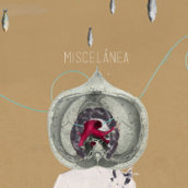 Ilustraciones. Miscelánea. Un proyecto de Diseño, Ilustración tradicional, Publicidad y Fotografía de mamen lópez - 20.02.2013