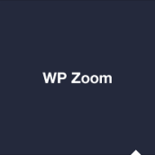 WP Zoom Developer Icon Set. Un proyecto de Diseño de Aditiva Design - 03.04.2013