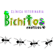 Bichitos. Design e Ilustração tradicional projeto de Cristina Fernández - 15.10.2013