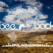 Bee Back. Un proyecto de Cine, vídeo y televisión de Raimon Moreno - 27.11.2013