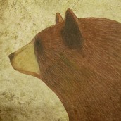 the bear. Un proyecto de Ilustración tradicional de oscar civit vivancos - 01.01.2014