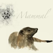Mammal. Un proyecto de Diseño e Ilustración tradicional de José Tomás Pérez del Moral - 03.11.2013