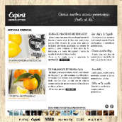 Newsletter para Expirit. Un proyecto de Diseño, Diseño gráfico y Diseño Web de Virginia - 02.02.2014